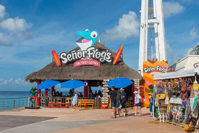 Senor Frog's - 10 Best Restaurants in Cozumel (2023