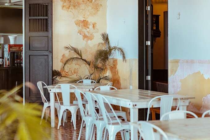 El Palomar Cozumel - 10 Best Restaurants in Cozumel (2023
