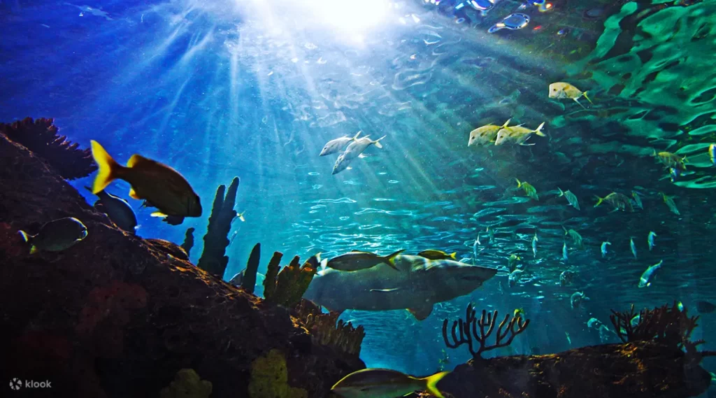 New England Aquarium - 9 Best Things to Do in Boston this Weekend with Family