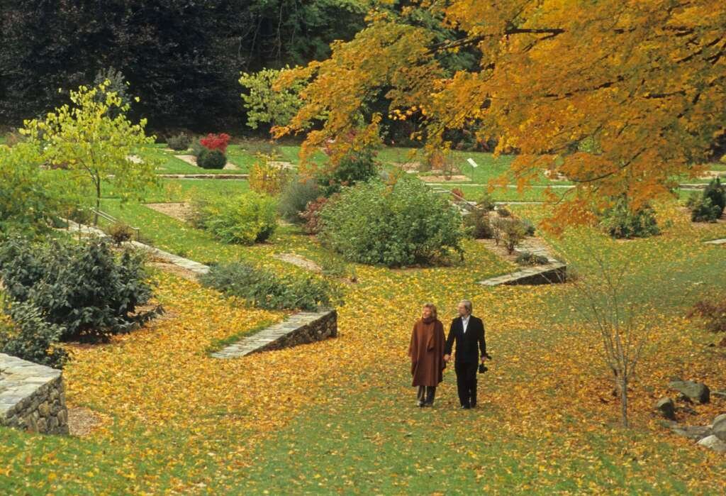 Arnold Arboretum - 9 Best Things to Do in Boston this Weekend with Family