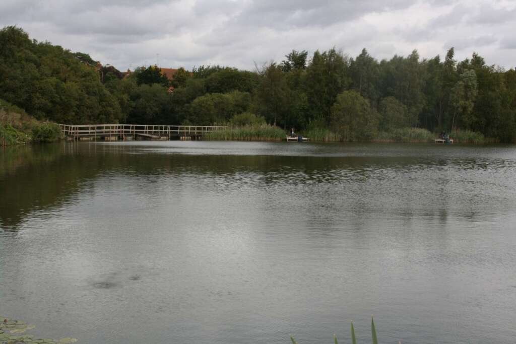 Oak Spring Lake - Top 15 Best Fishing Lakes in Kent With Pictures (2024)