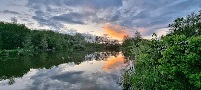 Elphicks Fishery - Top 15 Best Fishing Lakes in Kent With Pictures (2024)