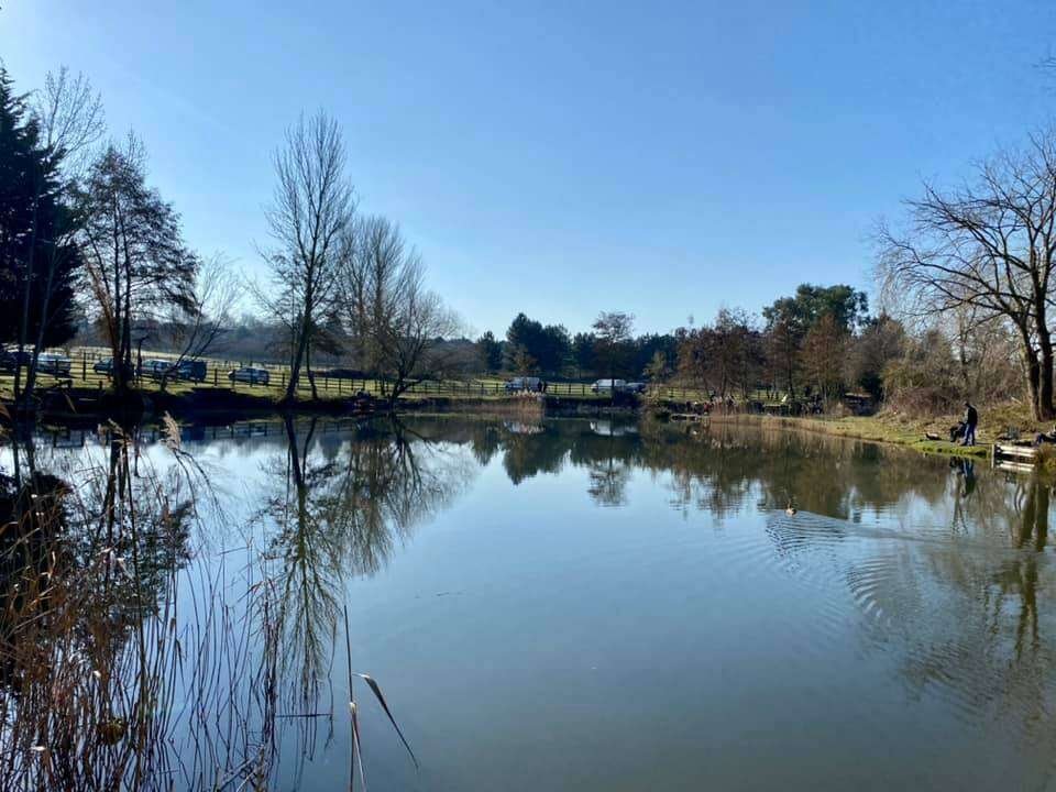 Horsham Fishing Lake - Top 15 Best Fishing Lakes in Kent With Pictures (2024)